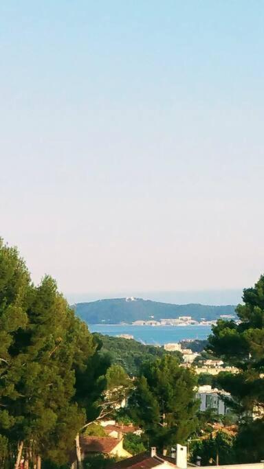 Villa Contemporaine F5 Cote Azur Ollioules Calme Exterior photo