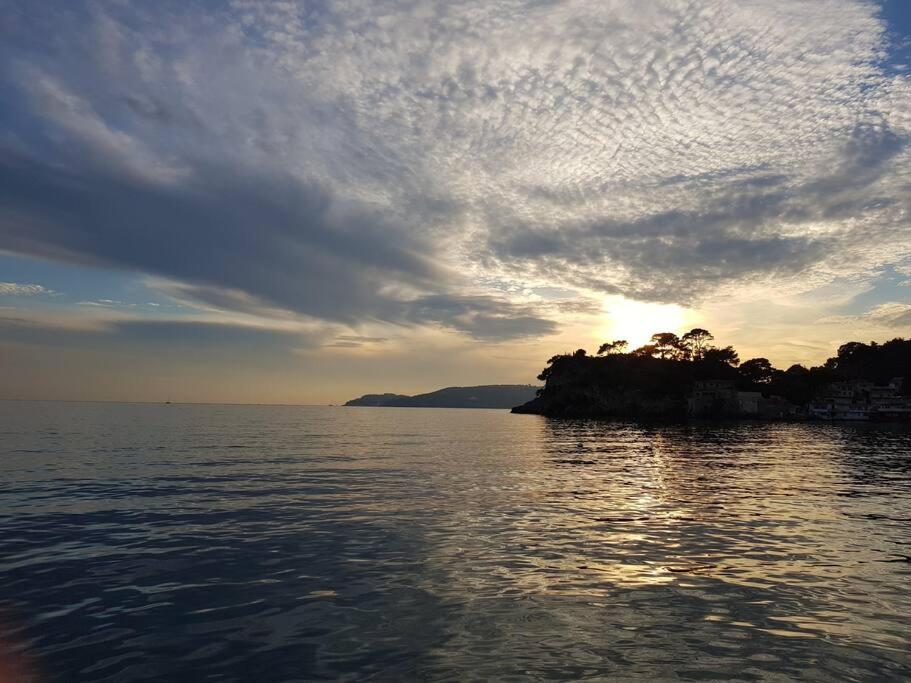 Villa Contemporaine F5 Cote Azur Ollioules Calme Exterior photo